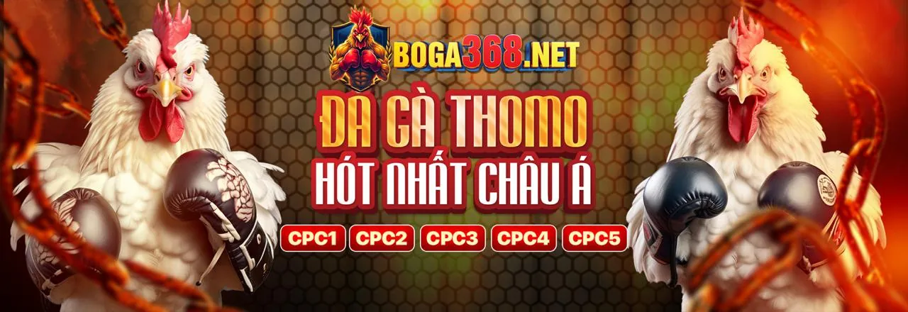 Đá Gà Trực Tiếp KU11